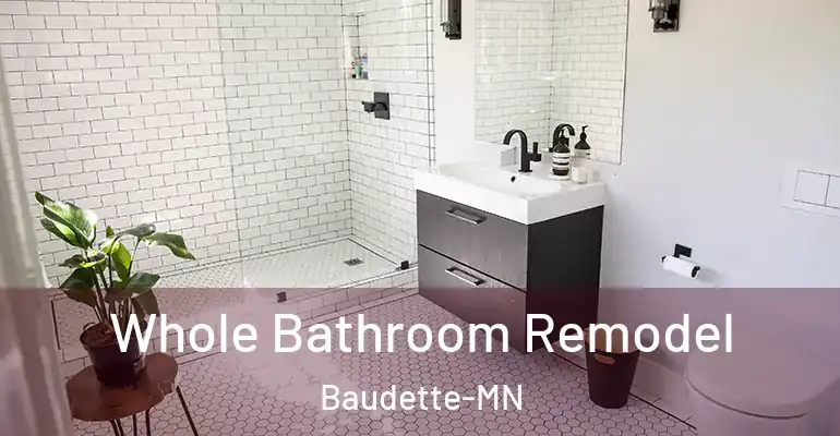 inner Bathroom imggen Whole Bathroom Remodel Baudette-MN