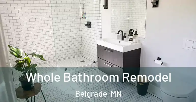 inner Bathroom imggen Whole Bathroom Remodel Belgrade-MN
