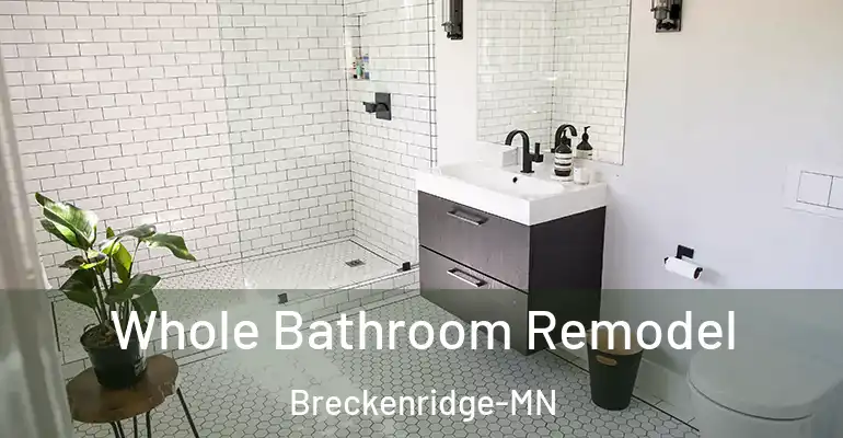 inner Bathroom imggen Whole Bathroom Remodel Breckenridge-MN