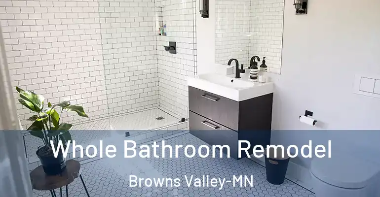 inner Bathroom imggen Whole Bathroom Remodel Browns Valley-MN