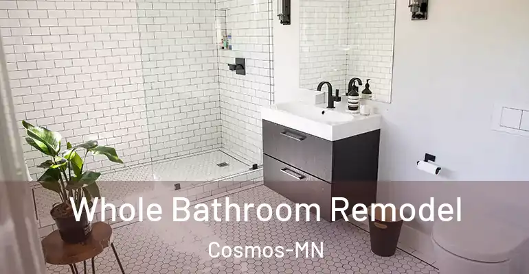 inner Bathroom imggen Whole Bathroom Remodel Cosmos-MN