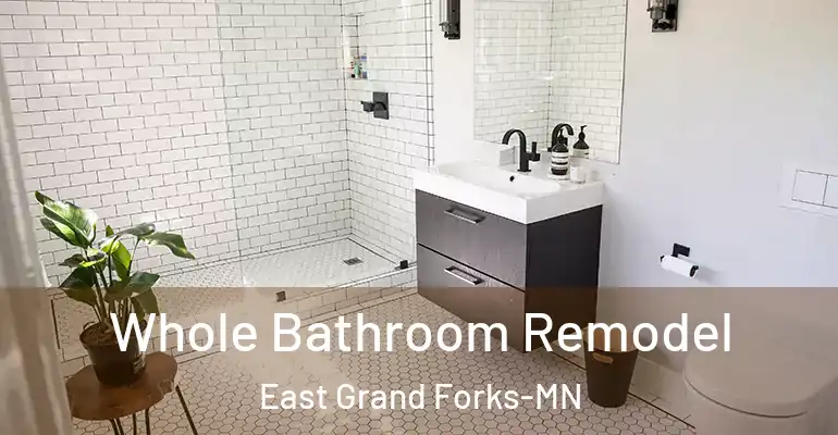 inner Bathroom imggen Whole Bathroom Remodel East Grand Forks-MN