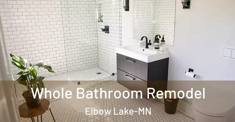 inner Bathroom imggen Whole Bathroom Remodel Elbow Lake-MN