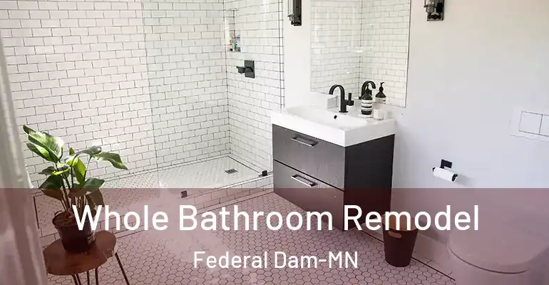 inner Bathroom imggen Whole Bathroom Remodel Federal Dam-MN