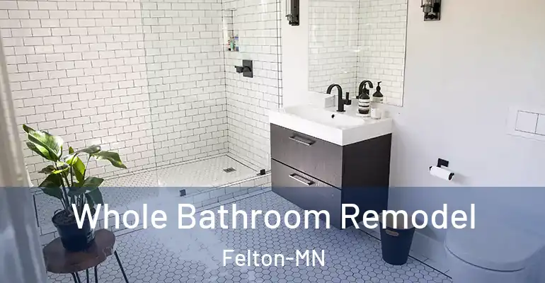inner Bathroom imggen Whole Bathroom Remodel Felton-MN