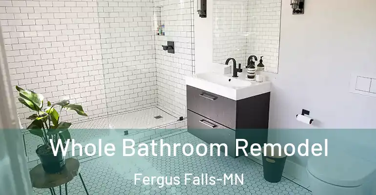 inner Bathroom imggen Whole Bathroom Remodel Fergus Falls-MN