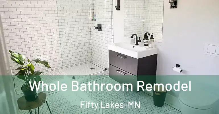 inner Bathroom imggen Whole Bathroom Remodel Fifty Lakes-MN