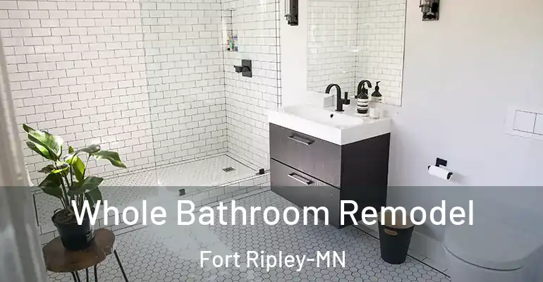 inner Bathroom imggen Whole Bathroom Remodel Fort Ripley-MN