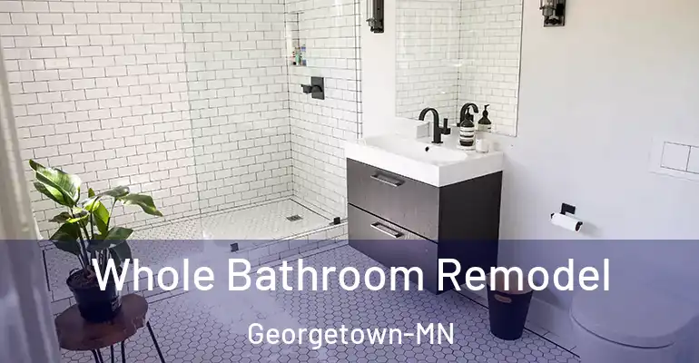 inner Bathroom imggen Whole Bathroom Remodel Georgetown-MN