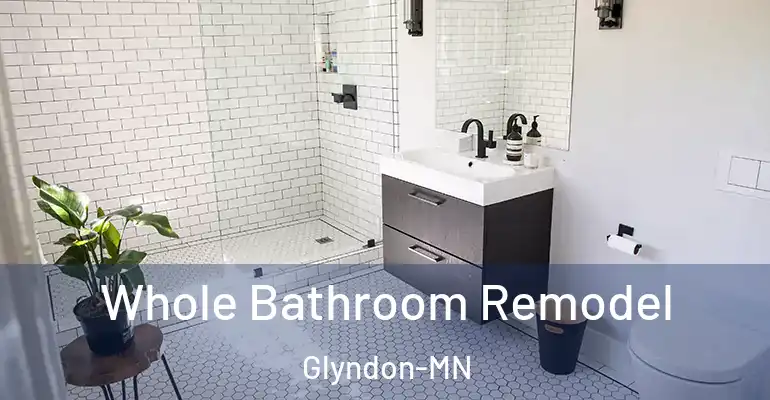 inner Bathroom imggen Whole Bathroom Remodel Glyndon-MN