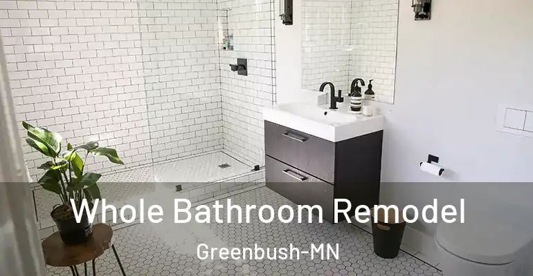 inner Bathroom imggen Whole Bathroom Remodel Greenbush-MN