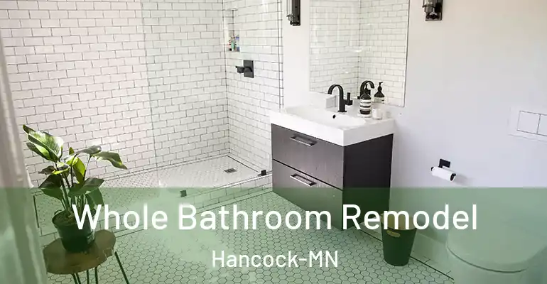 inner Bathroom imggen Whole Bathroom Remodel Hancock-MN