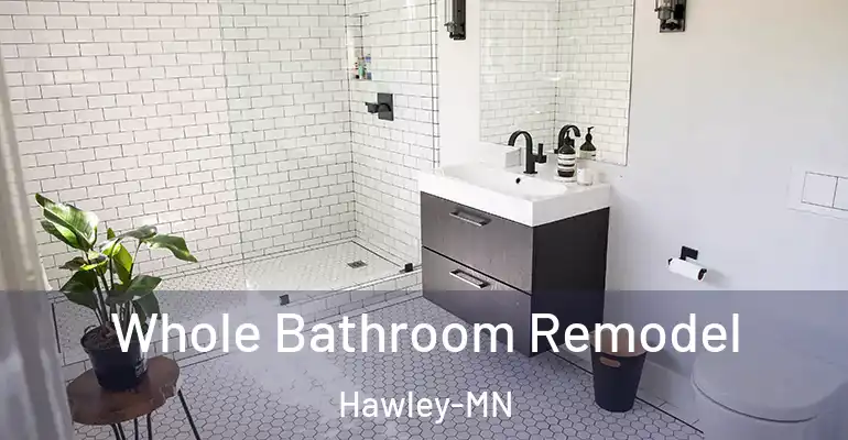 inner Bathroom imggen Whole Bathroom Remodel Hawley-MN