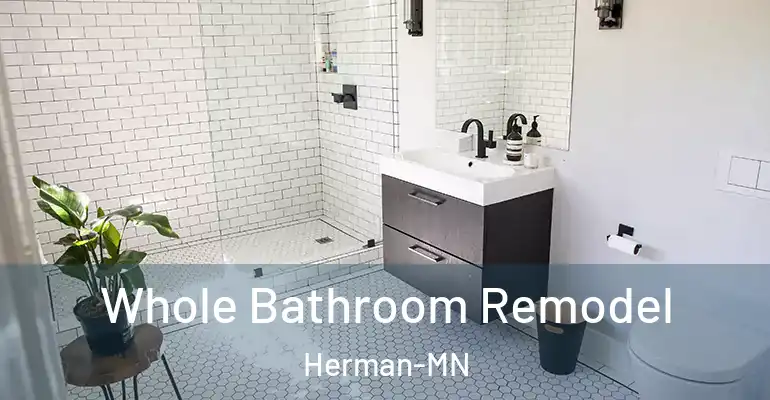inner Bathroom imggen Whole Bathroom Remodel Herman-MN