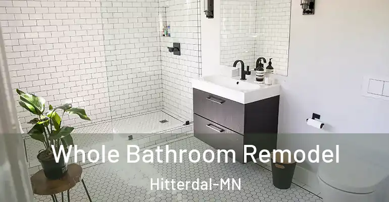 inner Bathroom imggen Whole Bathroom Remodel Hitterdal-MN
