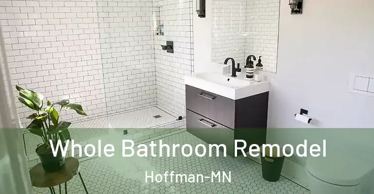 inner Bathroom imggen Whole Bathroom Remodel Hoffman-MN