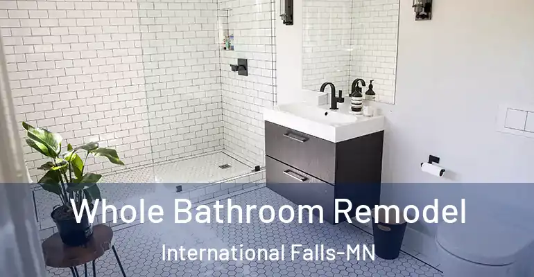 inner Bathroom imggen Whole Bathroom Remodel International Falls-MN