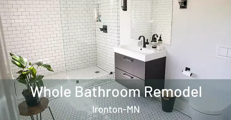 inner Bathroom imggen Whole Bathroom Remodel Ironton-MN