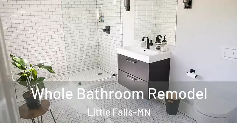 inner Bathroom imggen Whole Bathroom Remodel Little Falls-MN