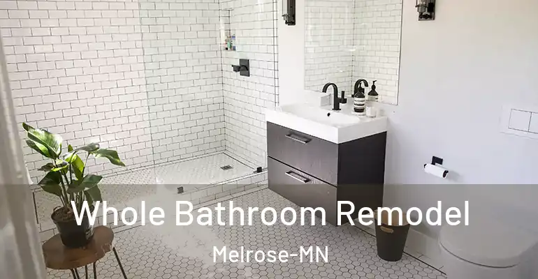 inner Bathroom imggen Whole Bathroom Remodel Melrose-MN