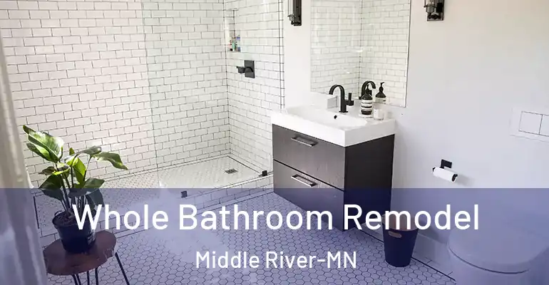 inner Bathroom imggen Whole Bathroom Remodel Middle River-MN