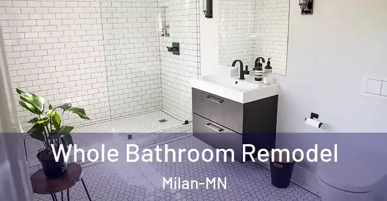 inner Bathroom imggen Whole Bathroom Remodel Milan-MN
