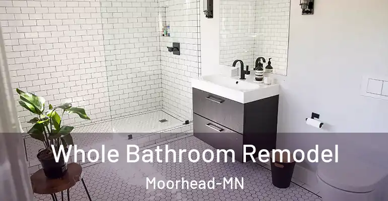 inner Bathroom imggen Whole Bathroom Remodel Moorhead-MN