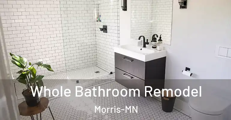 inner Bathroom imggen Whole Bathroom Remodel Morris-MN