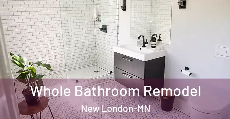 inner Bathroom imggen Whole Bathroom Remodel New London-MN