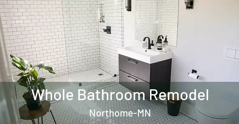 inner Bathroom imggen Whole Bathroom Remodel Northome-MN
