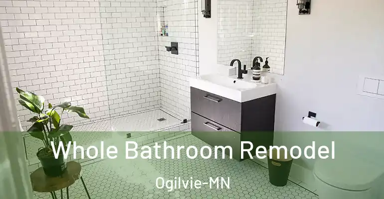 inner Bathroom imggen Whole Bathroom Remodel Ogilvie-MN