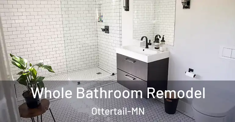 inner Bathroom imggen Whole Bathroom Remodel Ottertail-MN