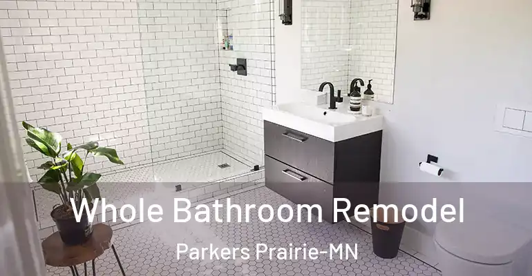 inner Bathroom imggen Whole Bathroom Remodel Parkers Prairie-MN