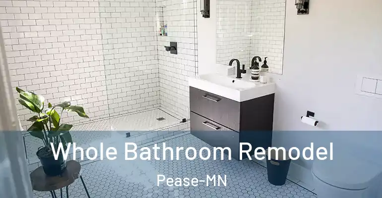 inner Bathroom imggen Whole Bathroom Remodel Pease-MN