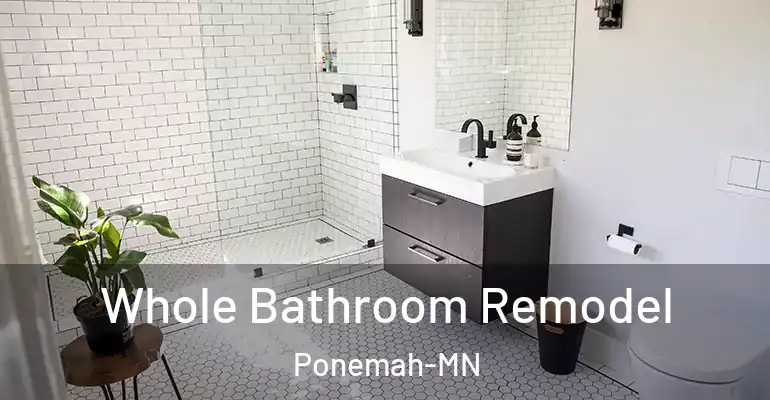 inner Bathroom imggen Whole Bathroom Remodel Ponemah-MN