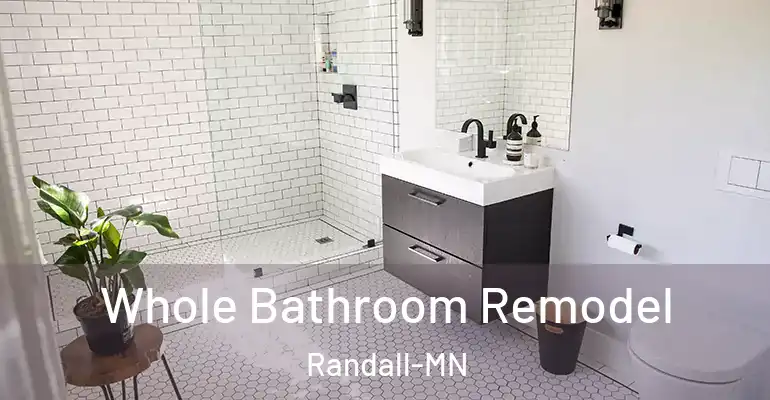 inner Bathroom imggen Whole Bathroom Remodel Randall-MN