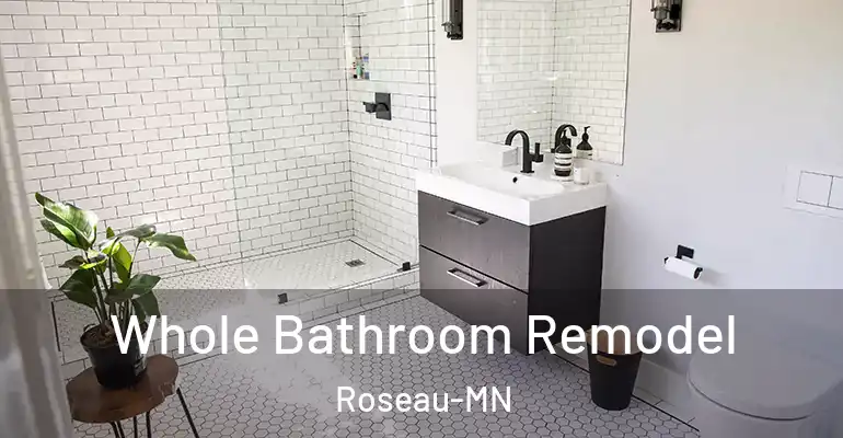 inner Bathroom imggen Whole Bathroom Remodel Roseau-MN