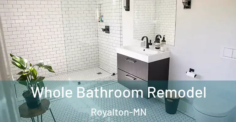 inner Bathroom imggen Whole Bathroom Remodel Royalton-MN