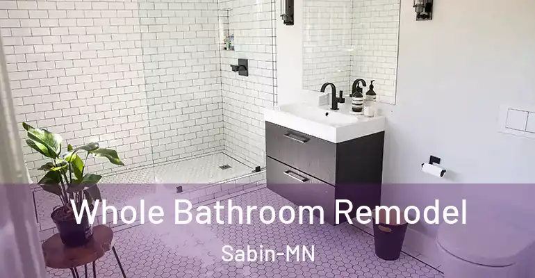 inner Bathroom imggen Whole Bathroom Remodel Sabin-MN