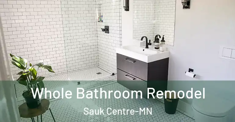 inner Bathroom imggen Whole Bathroom Remodel Sauk Centre-MN