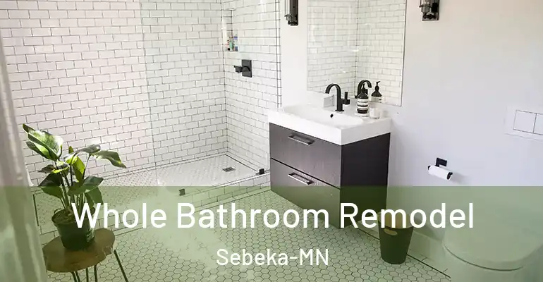 inner Bathroom imggen Whole Bathroom Remodel Sebeka-MN
