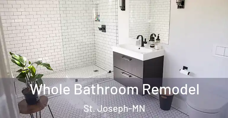 inner Bathroom imggen Whole Bathroom Remodel St. Joseph-MN