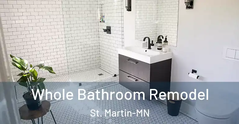 inner Bathroom imggen Whole Bathroom Remodel St. Martin-MN