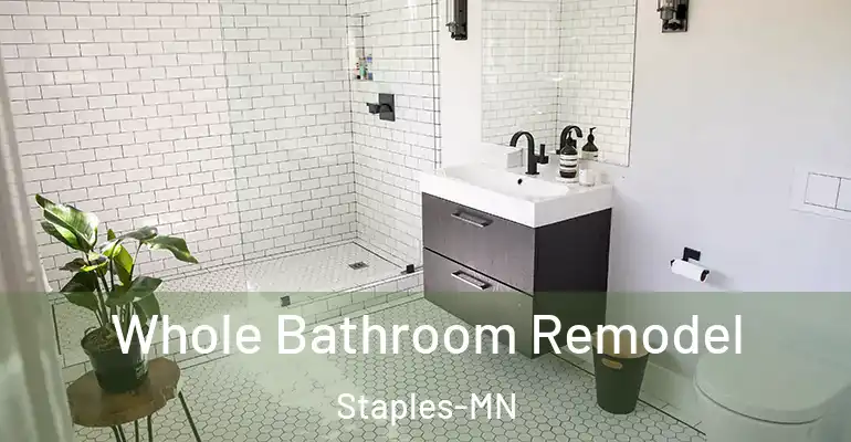 inner Bathroom imggen Whole Bathroom Remodel Staples-MN