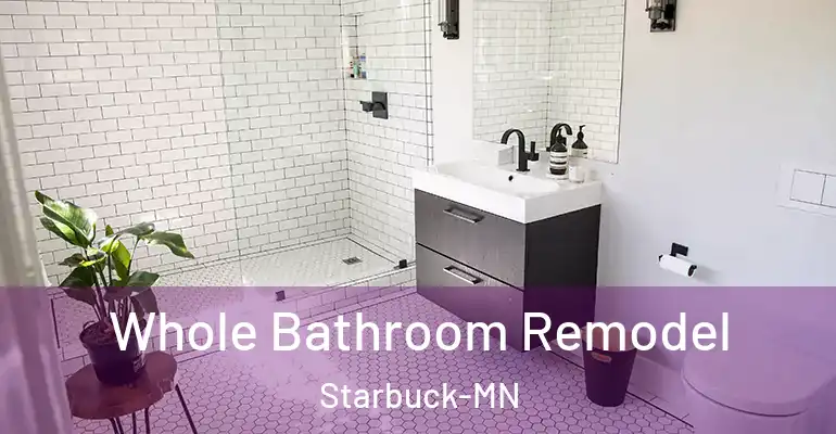inner Bathroom imggen Whole Bathroom Remodel Starbuck-MN