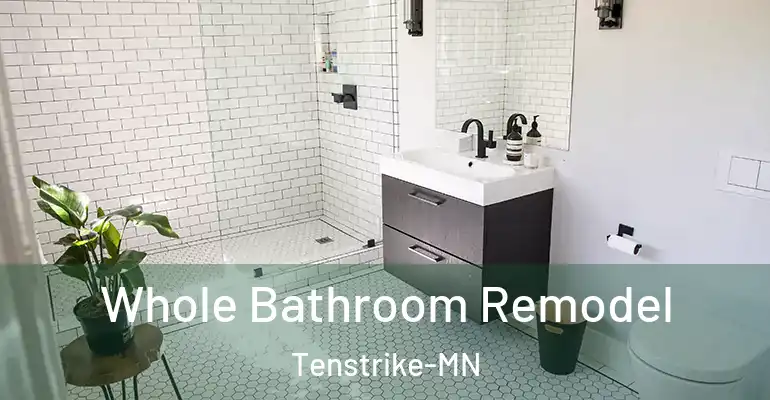 inner Bathroom imggen Whole Bathroom Remodel Tenstrike-MN