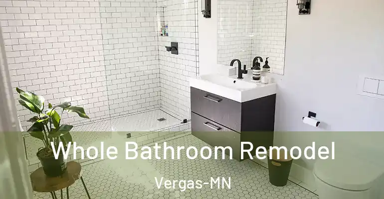 inner Bathroom imggen Whole Bathroom Remodel Vergas-MN