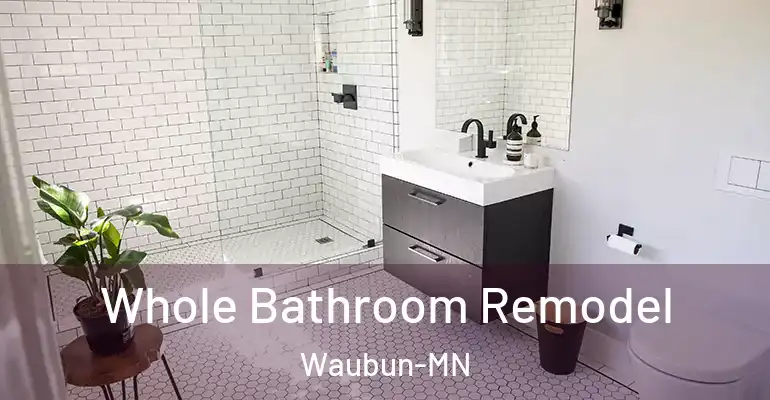 inner Bathroom imggen Whole Bathroom Remodel Waubun-MN