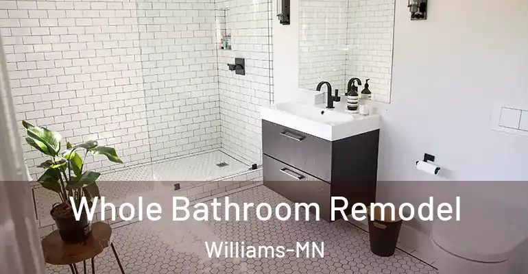 inner Bathroom imggen Whole Bathroom Remodel Williams-MN