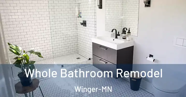 inner Bathroom imggen Whole Bathroom Remodel Winger-MN